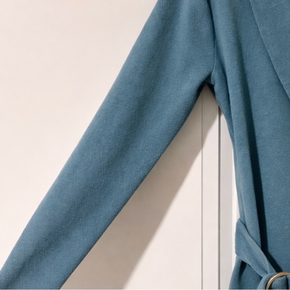 Ann Taylor Factory Blue Long Sleeve Dress - Picture 4 of 4